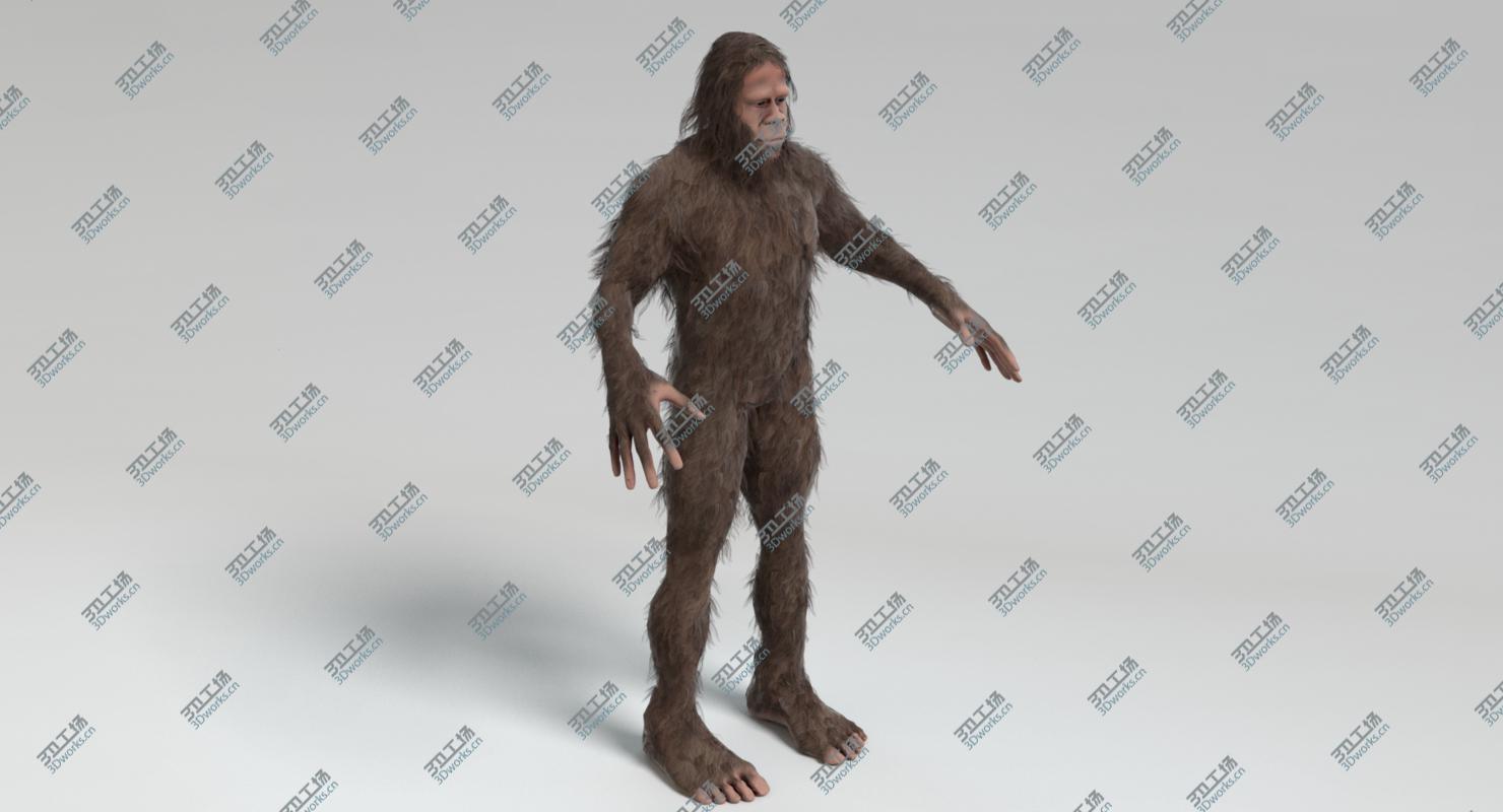 images/goods_img/2021040164/3D Bigfoot/3.jpg